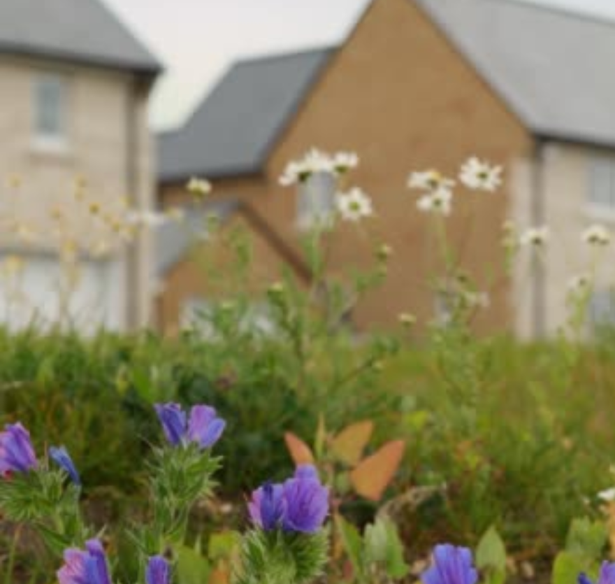 Financial support and innovation are helping Dorset Council tackle homelessness