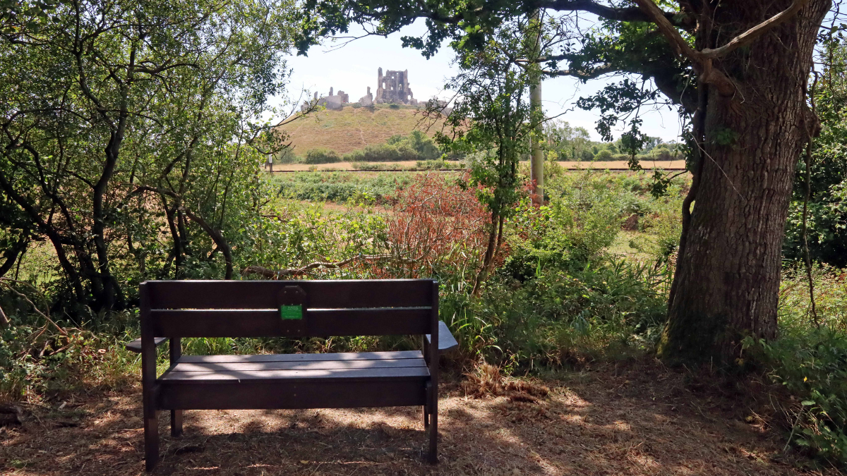 This shows a bench in the foreground with Corfe Castle in the distance which is part of the new Clay Trail route
