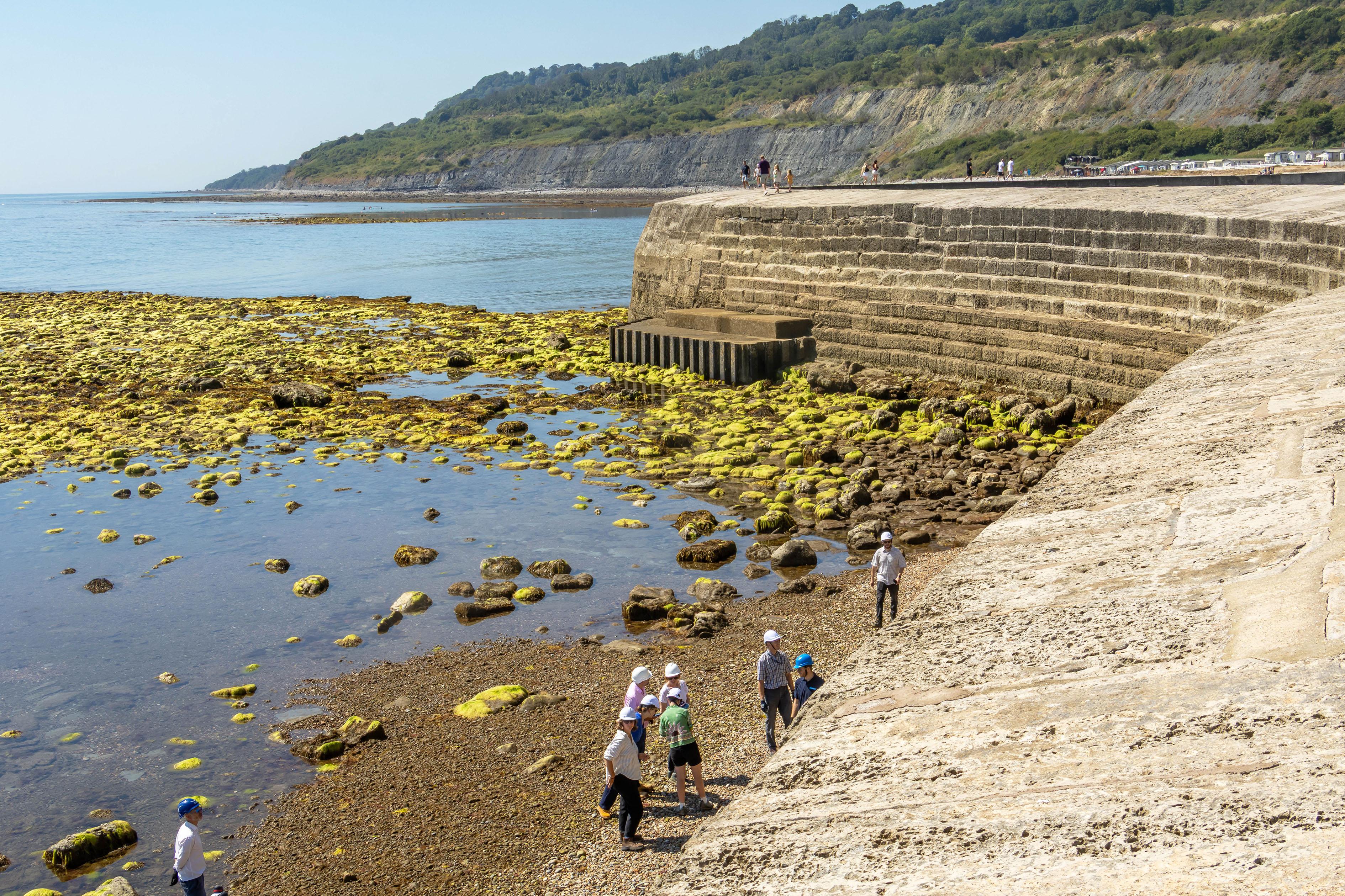 people in hard hats at the base of a long wall structure next to the sea