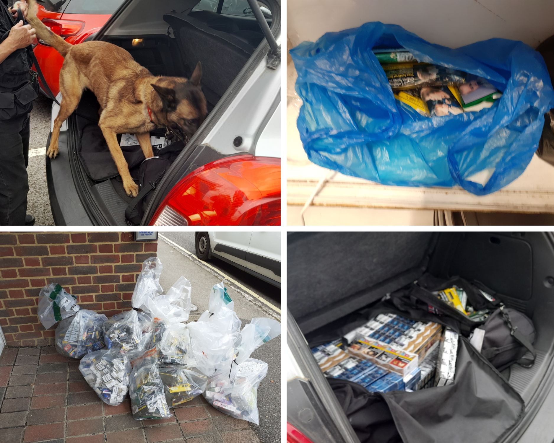 A selection of photographs showing items collected and one photograph shows a dog searching in the boot of a car