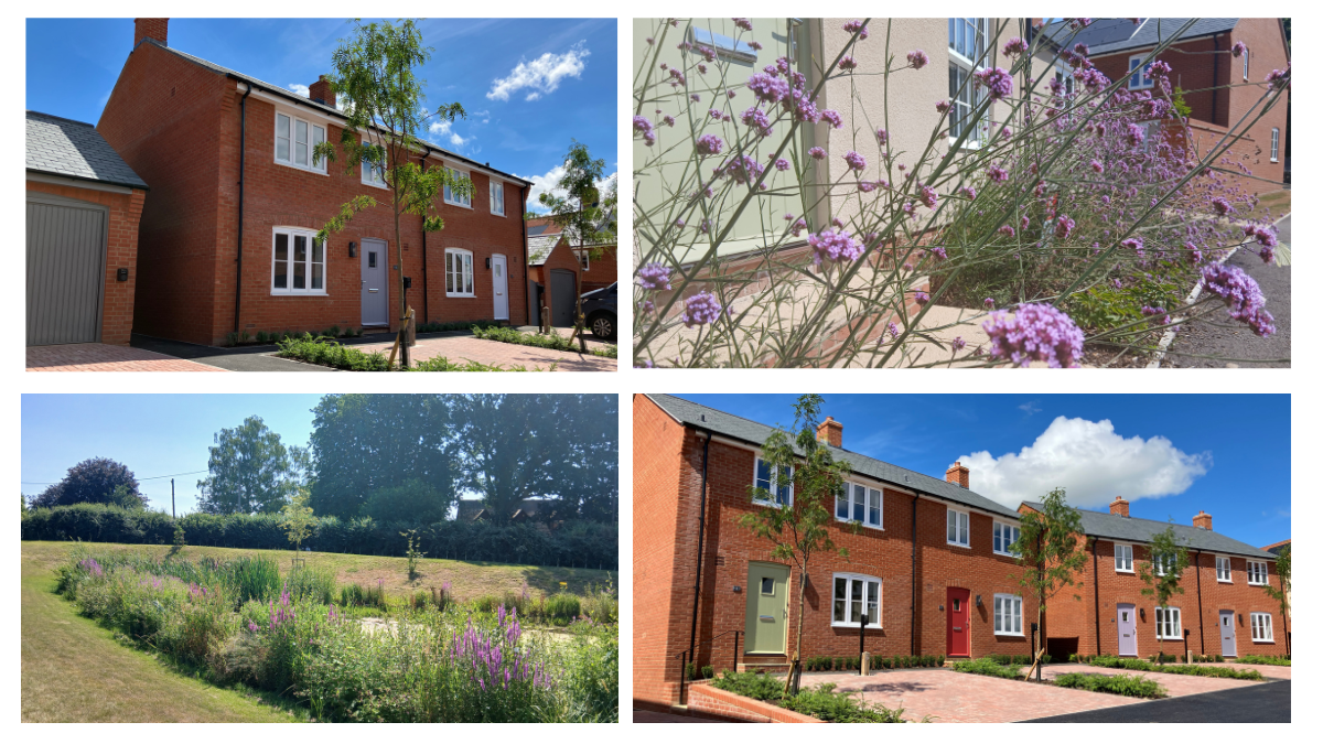 These are various shots of the development