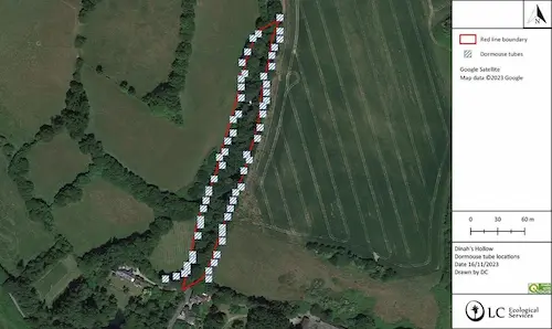 Dormouse tube location plan