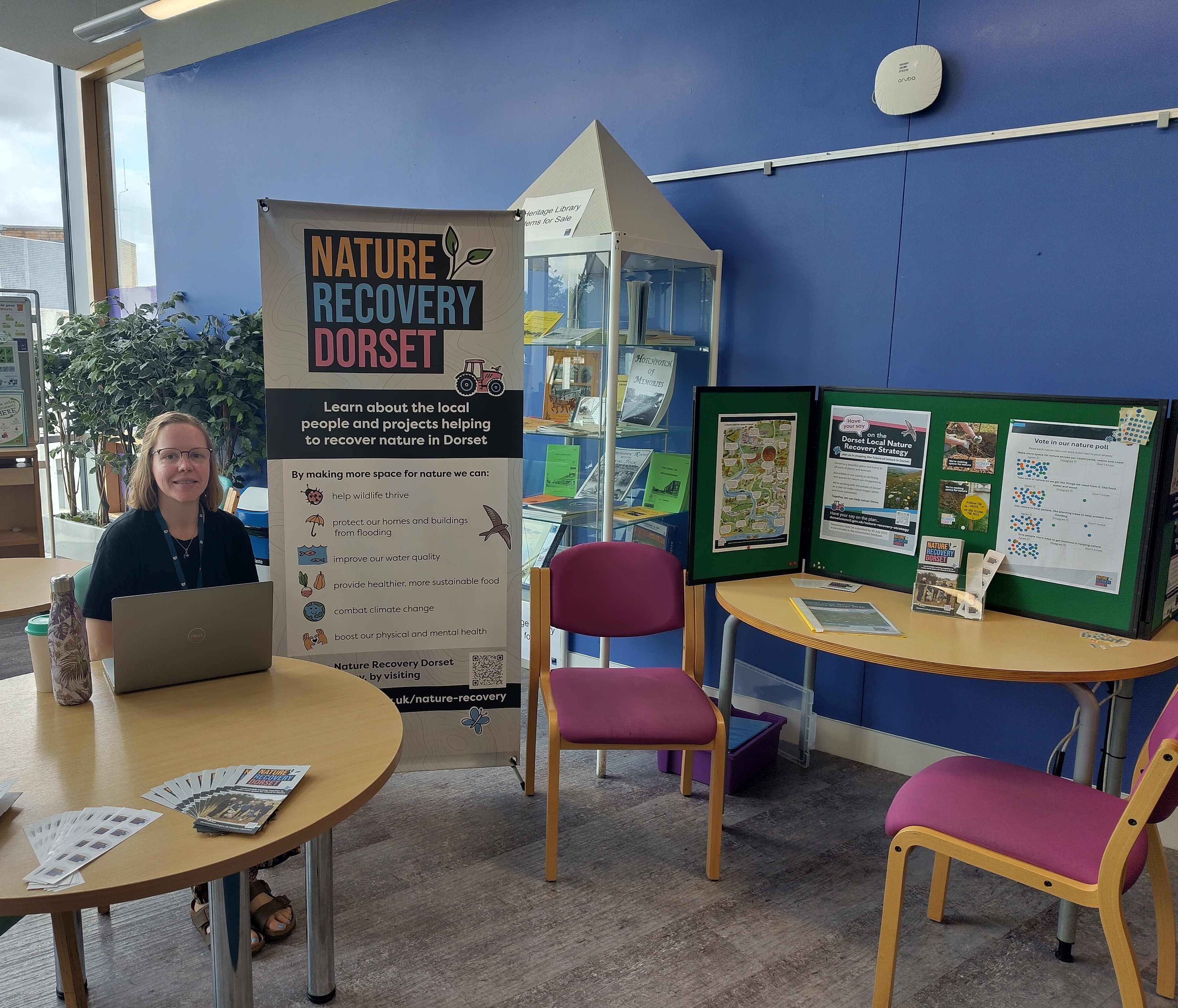 Nature recovery officer sitting at a table in Bournemouth library with information displayed about nature recovery, ready to talk to local people and hear their views.