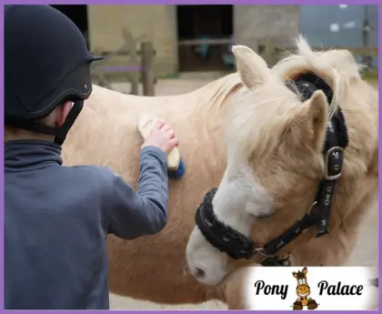 Child brushing a pony's coat while standing beside it in an outdoor paddock.