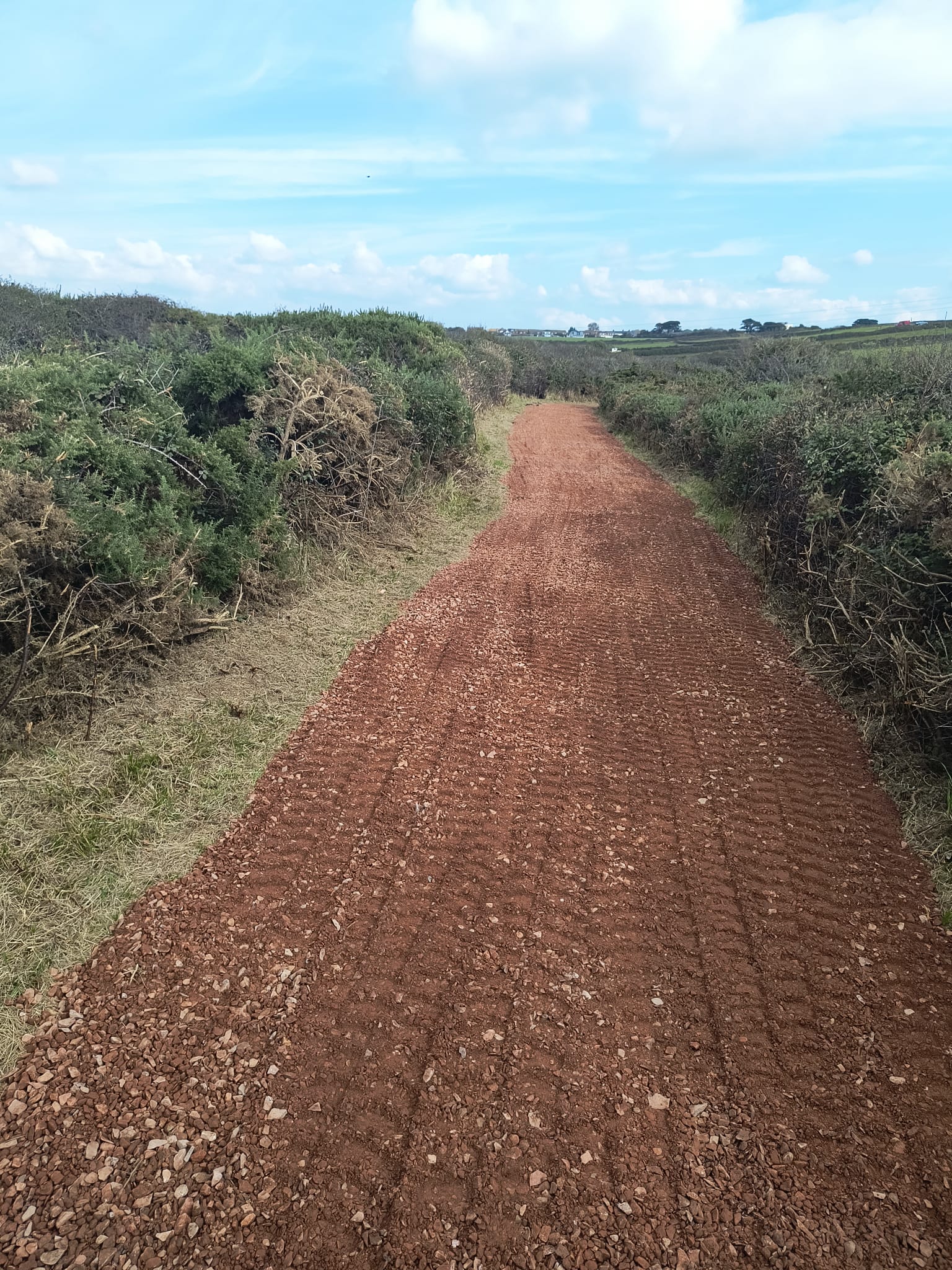 A well-managed dirt footpath between greenery.