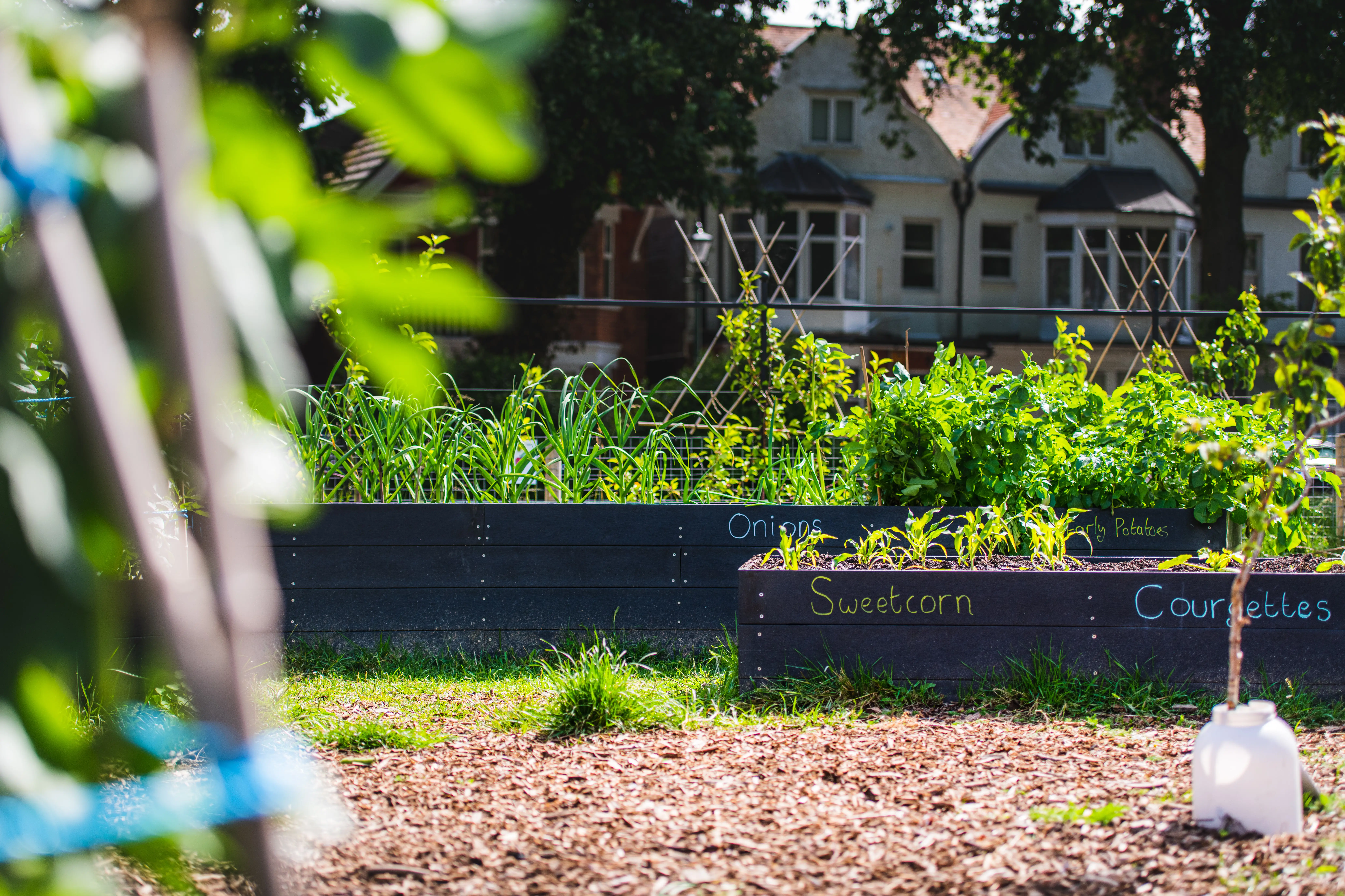 vegetable patches with gravel floor and housing behind