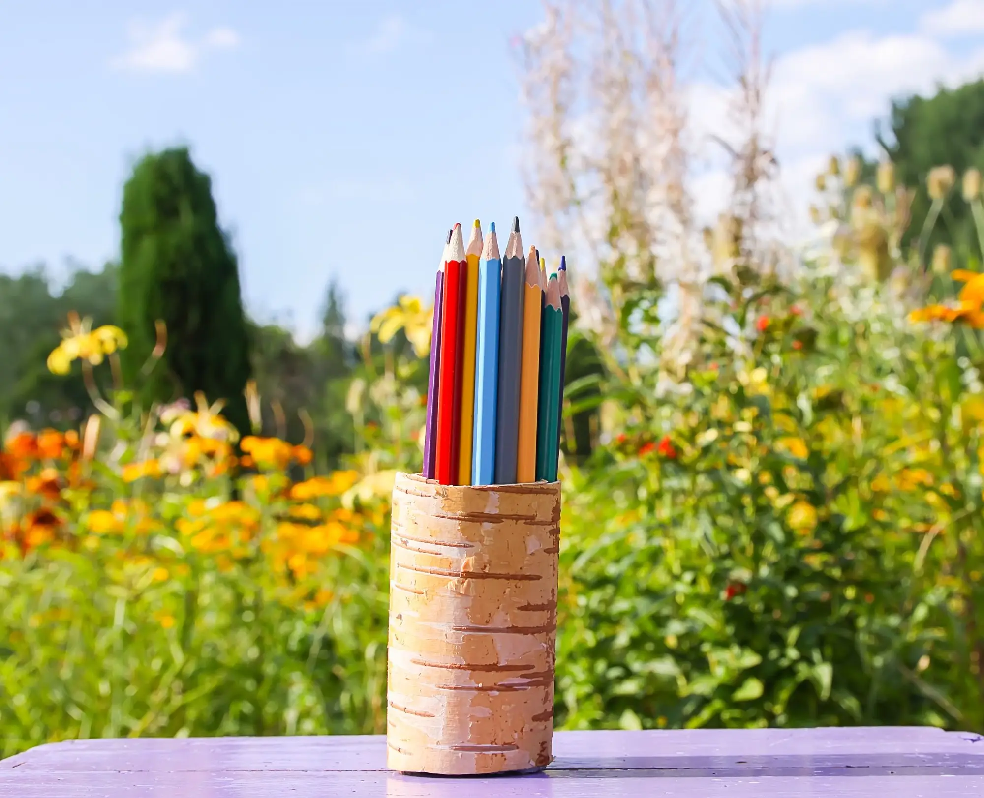 Crayons in a bamboo pot within a colourful garden