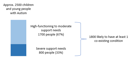 Single bar chart showing support needs among approximately 2,500 children and young people with Autism. It indicates that 1,700 individuals (67%) have high-functioning to moderate support needs, while 800 individuals (33%) have severe support needs. Additionally, 1,800 of the total are likely to have at least one co-existing condition.