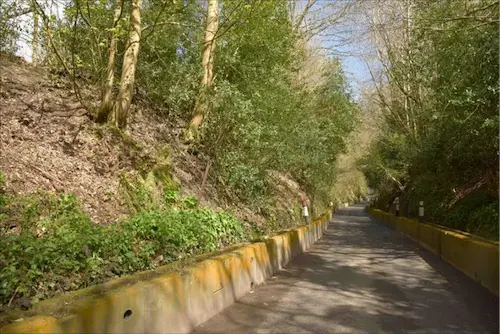 Southern section on the west side with a locally dense understorey of Holly and a very patchy ground flora