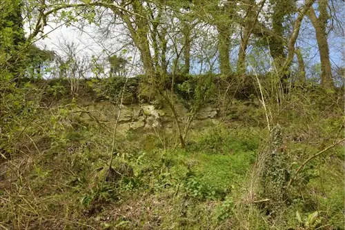 Upper section on the west side at the widest point showing exposure of Greensand in area that was formerly quarried