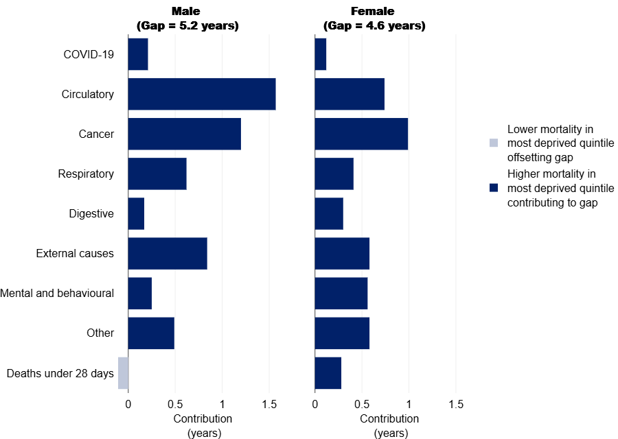 A bar chart showing how different causes of death contribute to the life‑expectancy gap between the most and least deprived quintiles in Dorset from 2020 to 2021. Two panels are shown: one for males, with a total gap of 5.2 years, and one for females, with a total gap of 4.6 years. For both males and females, most bars point to the right, indicating higher mortality in the most deprived quintile. Circulatory diseases and cancer contribute the largest amounts to the gap for both sexes. External causes and respiratory diseases also contribute noticeably. Smaller contributions come from digestive diseases, mental and behavioural disorders, COVID‑19, and other causes. A pale bar for “deaths under 28 days” appears on the male chart, showing lower mortality in the most deprived group offsetting the gap. A legend explains that dark bars indicate causes contributing to the gap and light bars indicate causes reducing it.