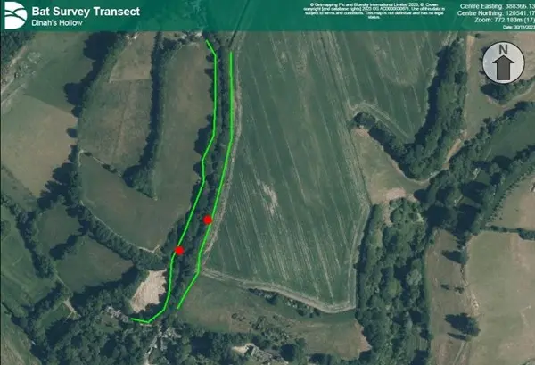 Bat survey transect route (green lines) on either side of the C13 Dinah’s Hollow and position of static acoustic recorders (red circles) used in summer and autumn 2023