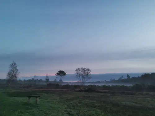 A foggy morning landscape at Avon Heath showing a grassy foreground, a wooden bench, scattered trees, and mist rising over the heath under a pale blue sky.