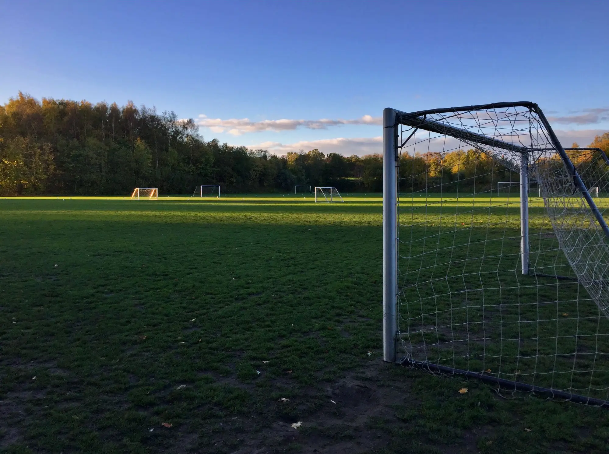 Football pitch with greenery behind