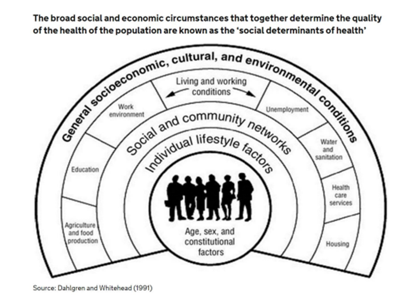 Diagram of the social determinants of health, structured in concentric circles. The centre shows 'Age, sex, and constitutional factors' with human silhouettes. Surrounding layers represent 'Individual lifestyle factors,' 'Social and community networks,' and 'General socioeconomic, cultural, and environmental conditions,' including elements like education, housing, and healthcare. Source: Dahlgren and Whitehead (1991).