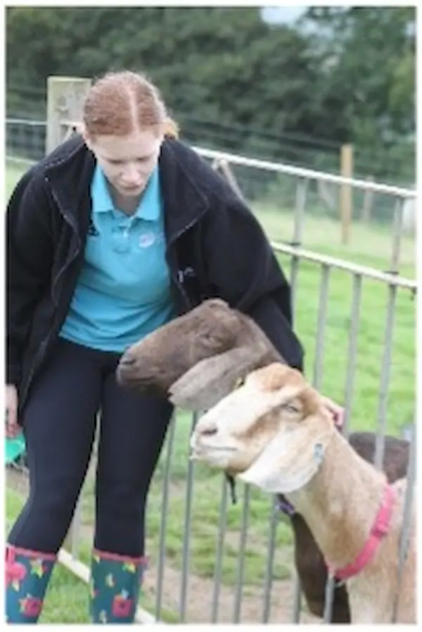 Picture of a girl with a couple of goats