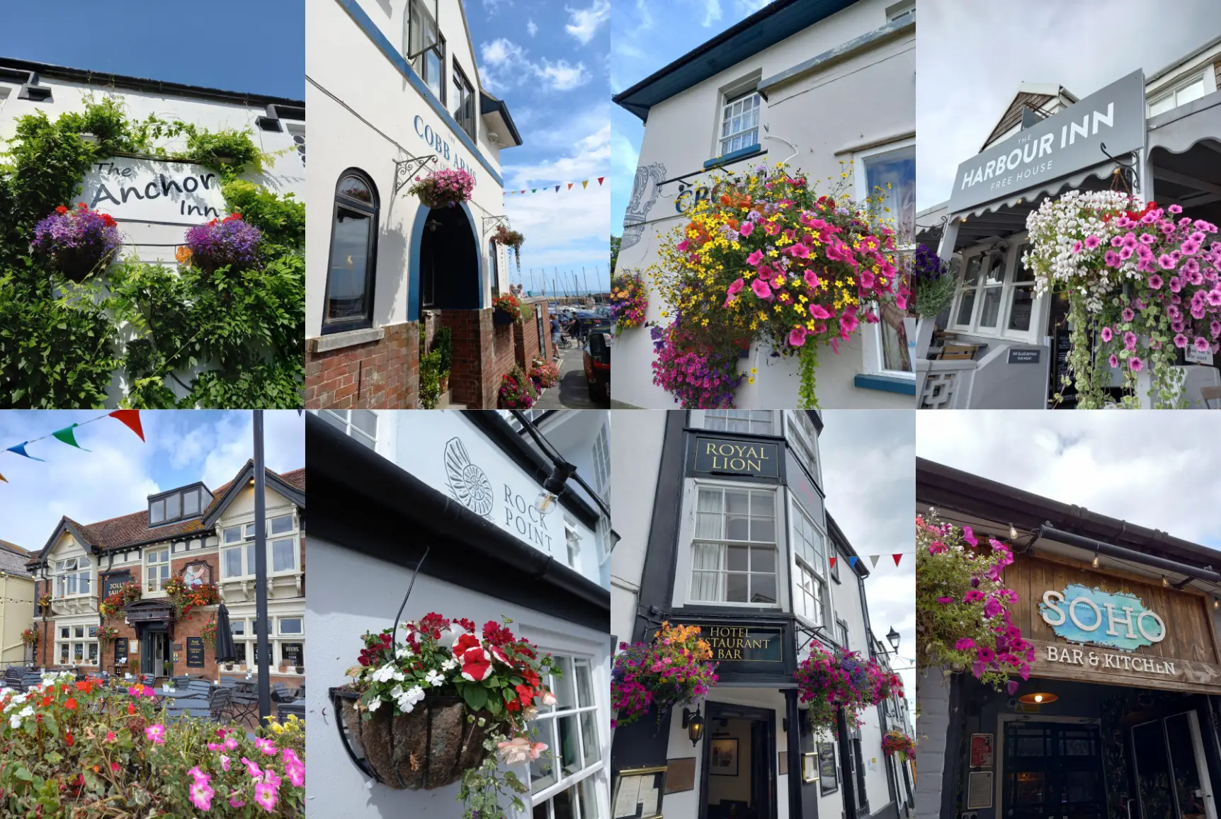 Hanging baskets outside local businesses