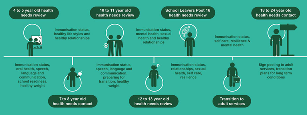 A visual summary showing key reviews and contacts for 5 to 24 years. It includes:&nbsp;  4 to 5 year old health needs review: immunisation status, oral health, speech, language and communication, school readiness healthy weight 7 to 8 year old health needs contact: immunisation status, healthy lifestyles and healthy relationships&nbsp; 10 to 11 year old health needs review: immunisation status, speech, language and communication, preparing for transition, healthy weight&nbsp; 12 to 13 year old health needs review: immunisation status, mental health, sexual health, healthy relationships &nbsp; school leavers post-16 health needs review: immunisation status, relationships, sexual health, self care, resilience transition to adult services: immunisation status, self-care, resilience and&nbsp;mental health &nbsp; 18 to 24 year old health needs contact: signposting to adult services, transition plans for long-term conditions&nbsp;