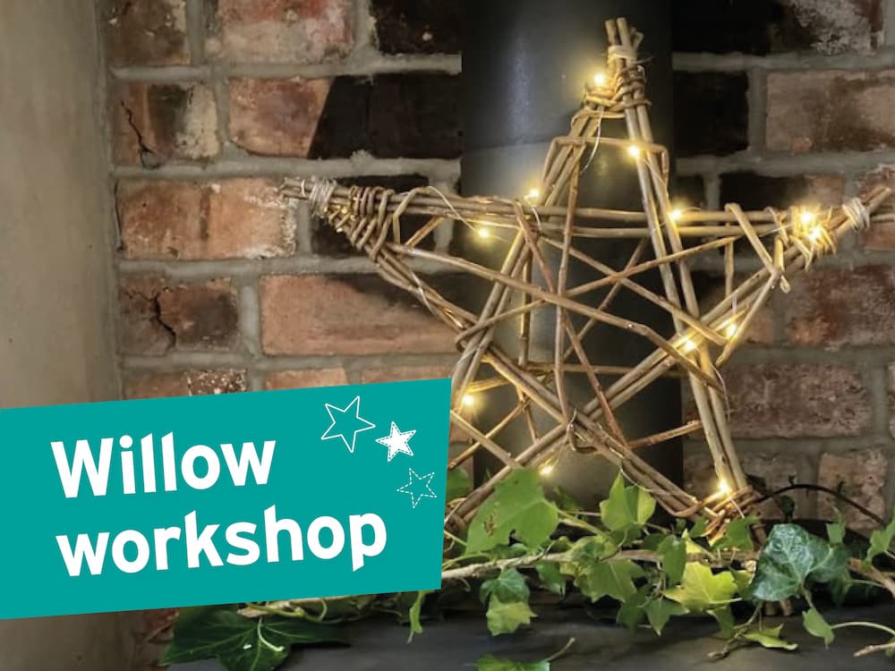 Decorative willow pumpkin shown outdoors and indoors, with 'Willow workshop' text on an orange banner.