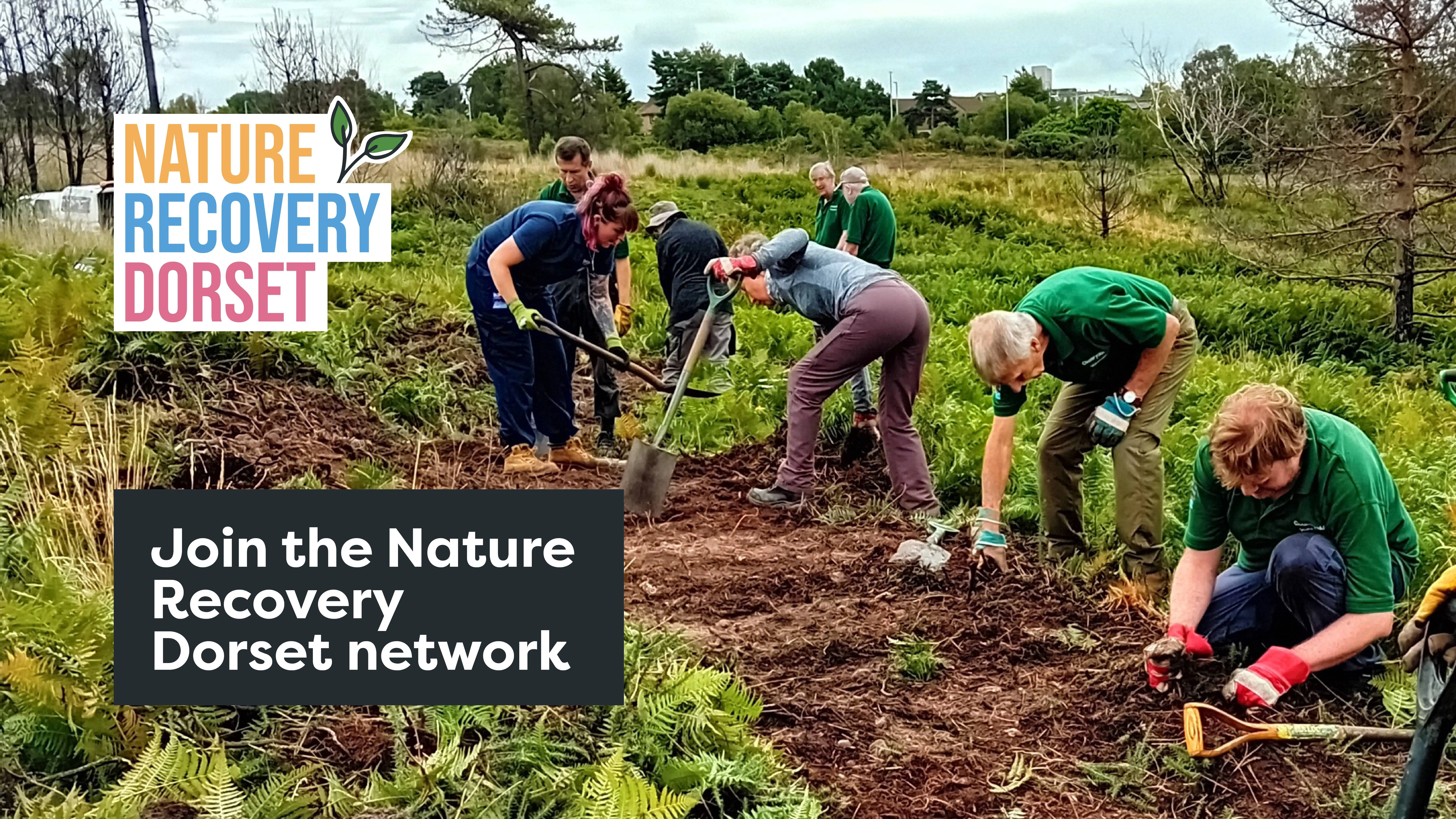 Gardeners within a field digging and planting crops with text 'Join the Nature Recovery Dorset network' and Nature Recovery Dorset logo