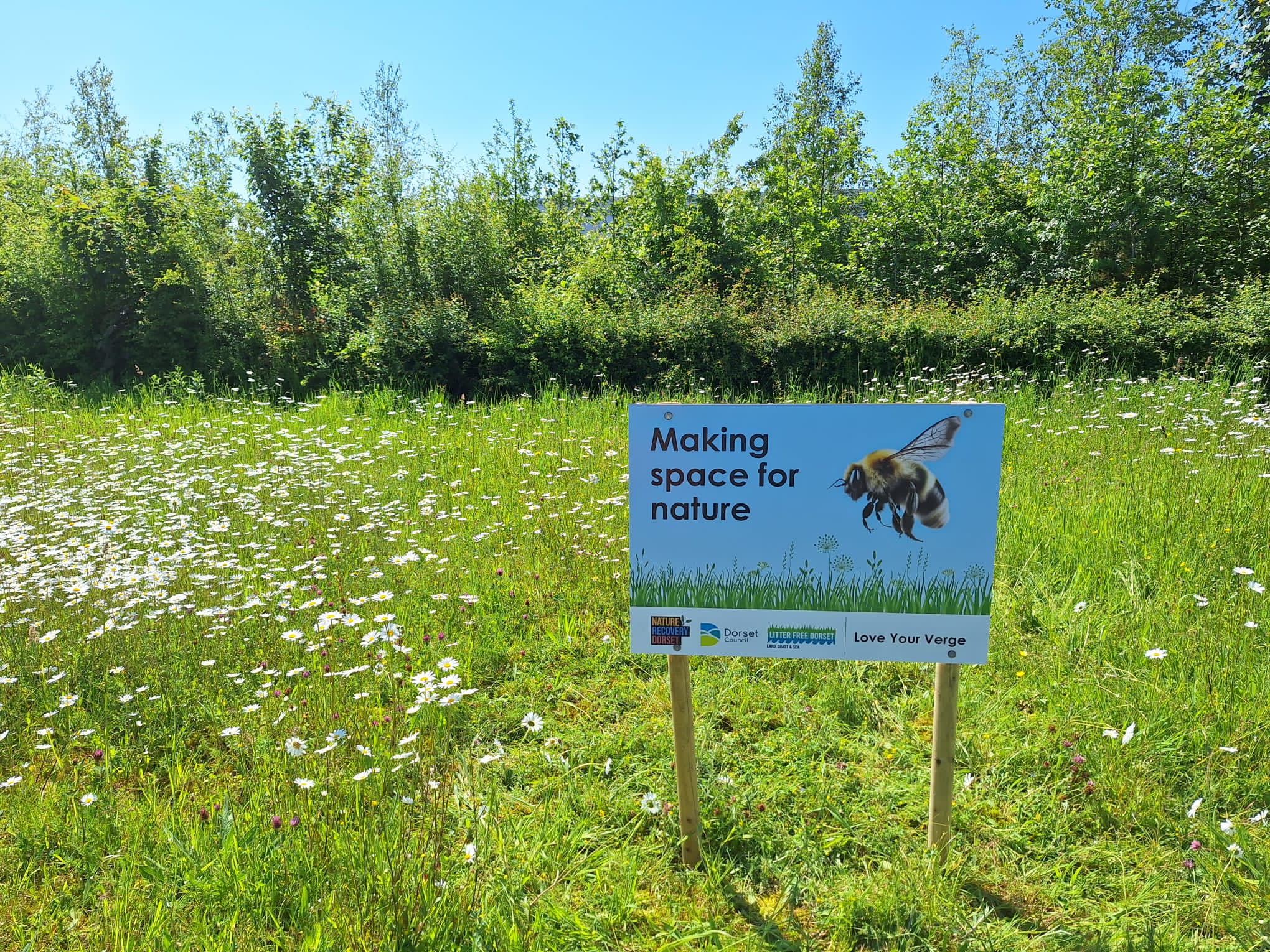 Sign within a meadow reading 'making space for nature'