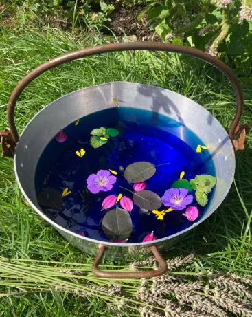 Metal bowl filled with bright blue water, floating leaves and flower petals, placed on grass outdoors.