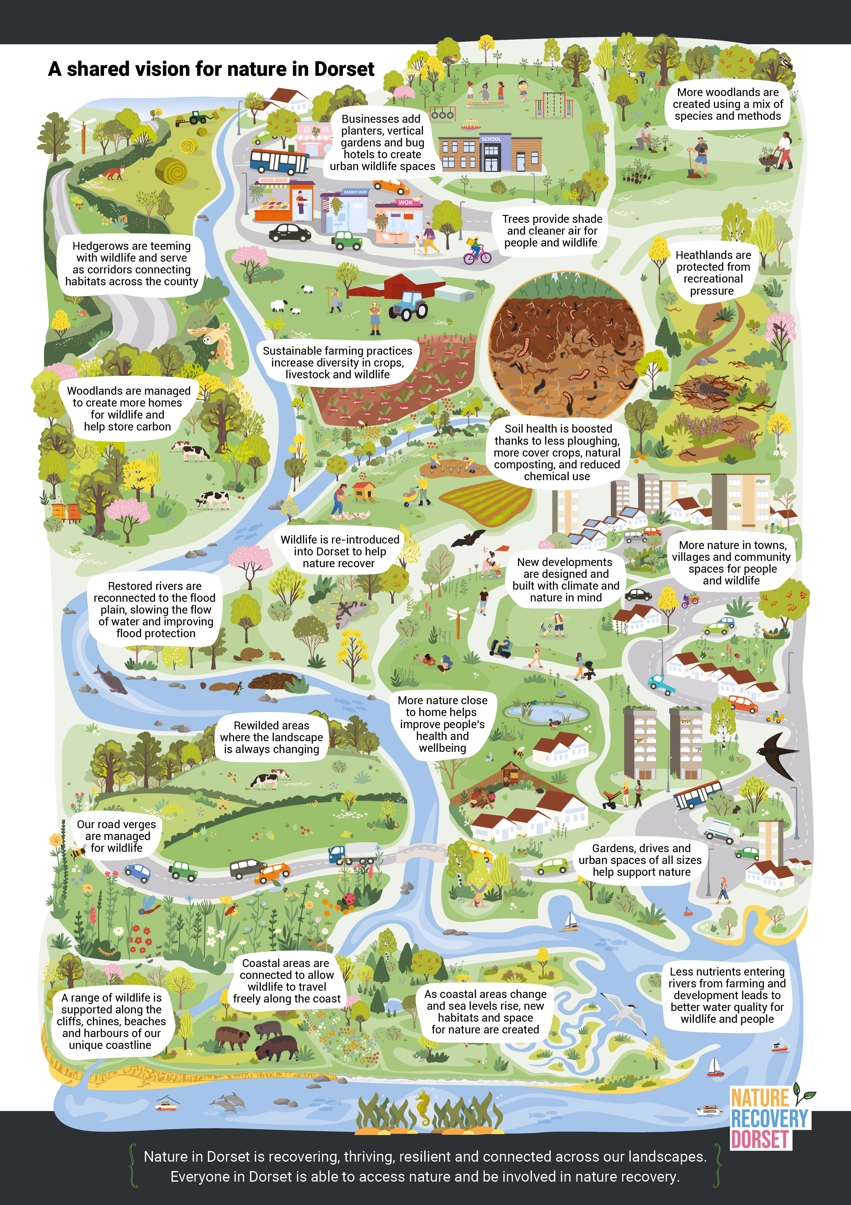 Artist illustration of a shared vision for nature in Dorset