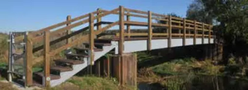 A footbridge in a rural area of West Dorset, refurbished with new railings and surface materials. The image highlights investment in maintaining pedestrian infrastructure to ensure safe and accessible walking routes.