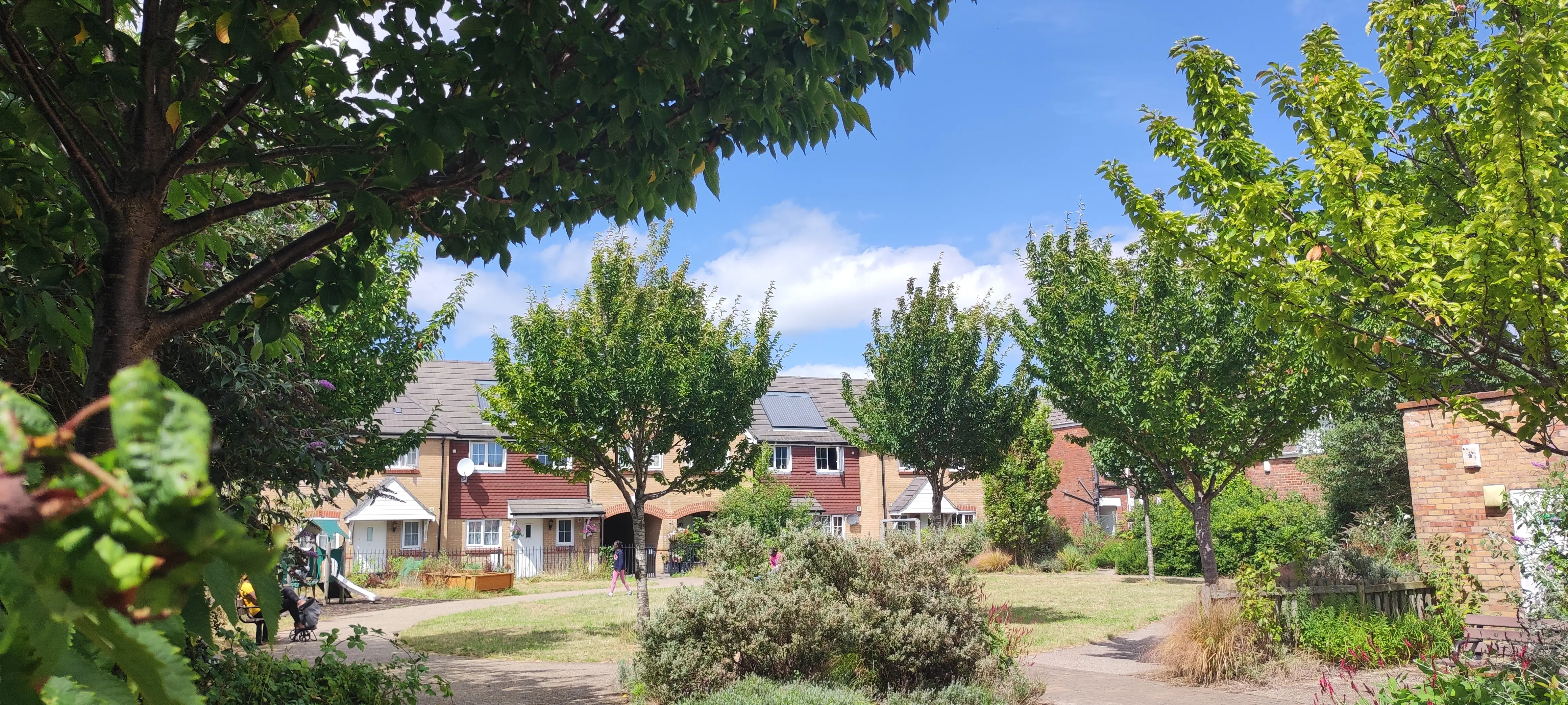 Springbourne Gardens featuring housing with green space and surrounding trees in centre