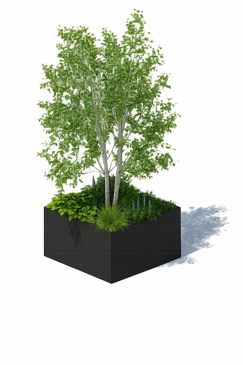 Large black square planter containing a mature multi‑stem tree with green foliage and low planting at the base, shown as a standalone heritage‑style street planter.