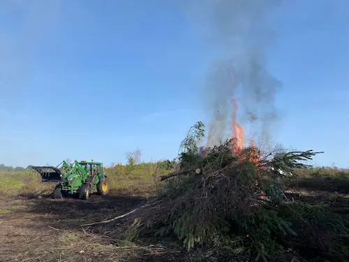 A tractor beside a large pile of branches burning in an open field.