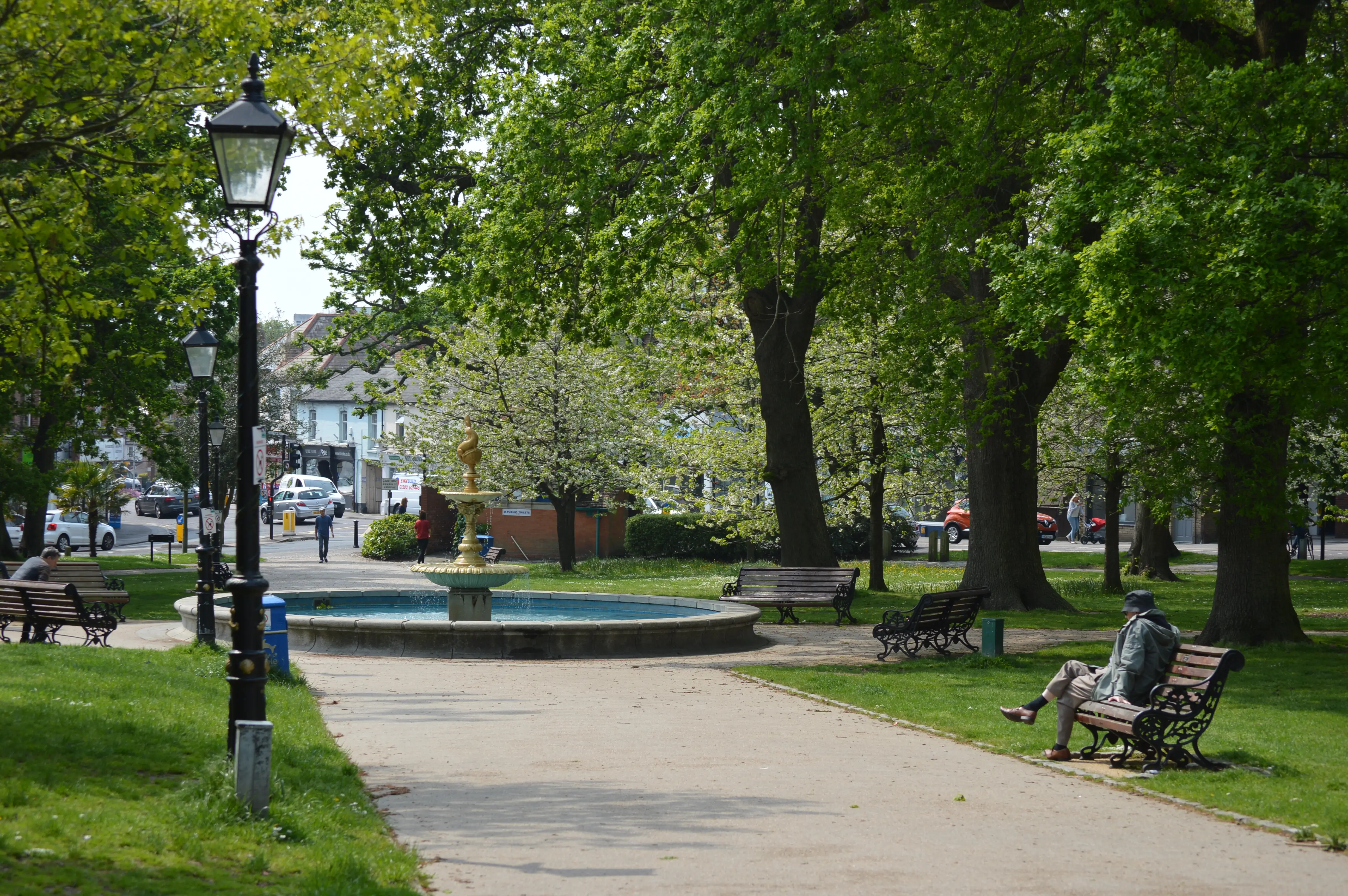 Trees with a fountain, benches and pathway between on a sunny day