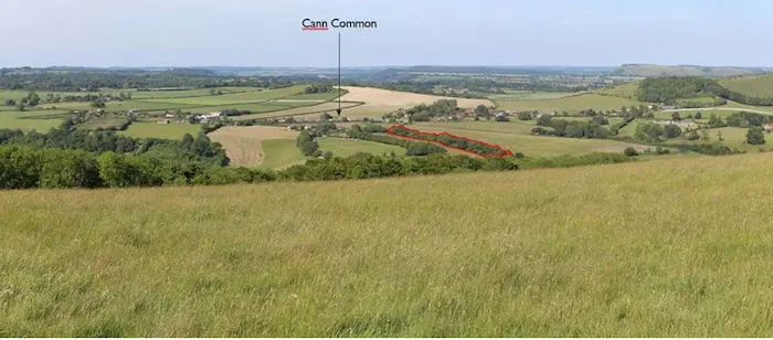 Viewpoint 11: View looking north east from the public footpath within the Open Access land near the top of Melbury Hill The canopies of the trees with the site boundary are visible (indicated with a red outline) within the middle of the view. The reduction in the mass and density of the tree canopies will be perceptible.
