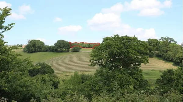 Viewpoint 12: View looking east from the car park of the Melbury Abbas and Cann Village Hall A small section of the western edge of the woodland within the site boundary is visible between adjacent lines of trees. The change to the view is likely to be relatively small due to the limited extent of the site woodland that is visible.