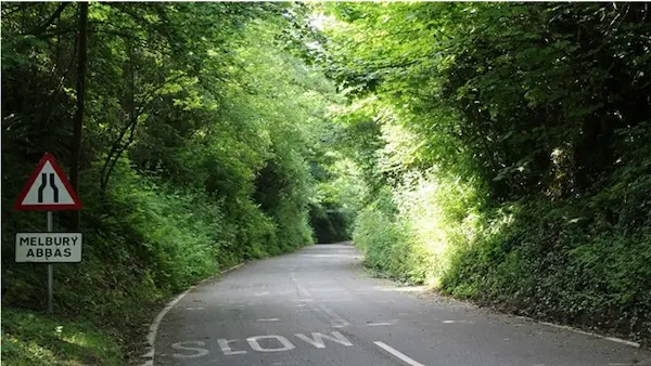 The ground vegetation will be replaced at the roadside on the eastern (left) side with stone retaining wall. A number of the trees on the eastern side will be subject to coppicing with ground stabilisation mesh placed around the base of them.The trees and ground vegetation on the western (right) side will be less affected within the view as the proposed road stabilisation works commence further to the south on this side of the hollow and the proposals on this side comprise the coppicing of a number of trees.