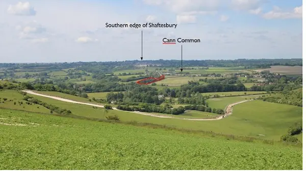 Viewpoint 8: View looking north west from the public footpath that extends between Compton Down and Compton Abbas Airfield. The canopies of the trees within the site boundary are visible in the middle distance (indicated with a red outline). The reduction in the mass of the tree canopies as a result of the proposals are likely to be perceptible.