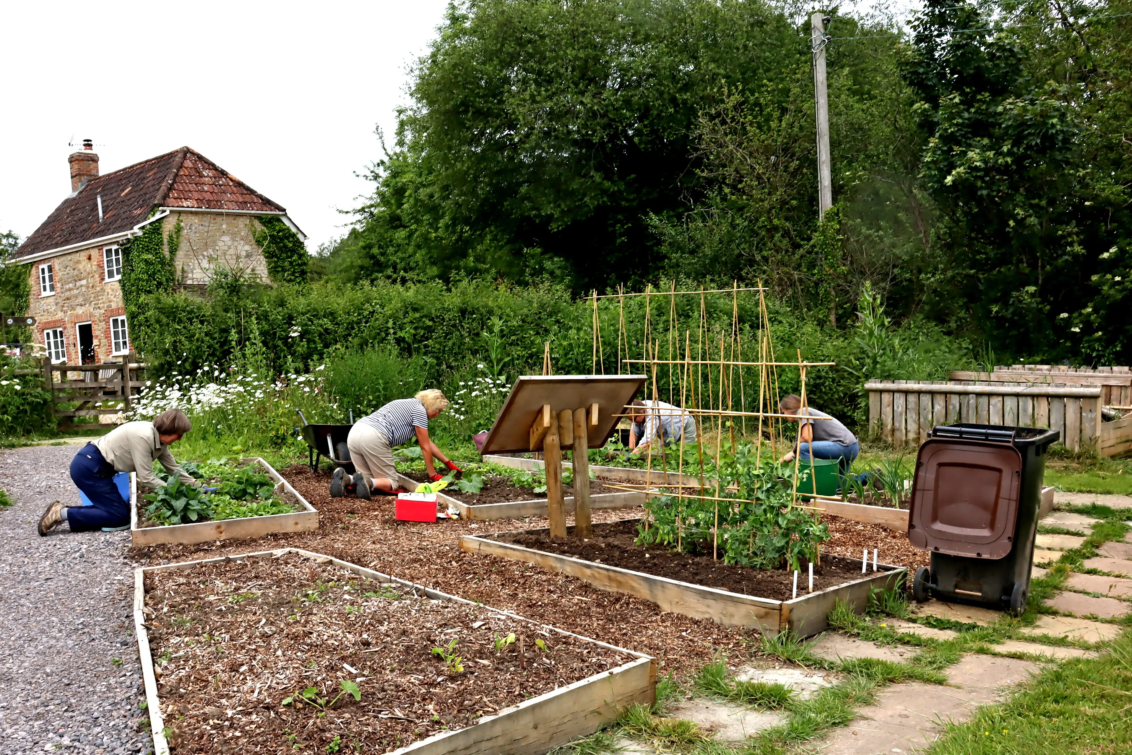 Volunteers planting vegetables within a community garden