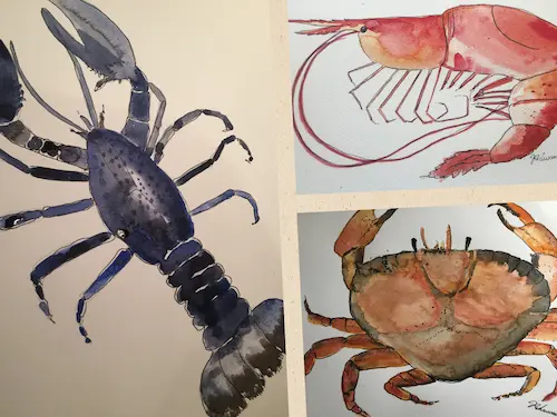 Three watercolor paintings of sea creatures: a blue lobster, a red shrimp, and a brown crab