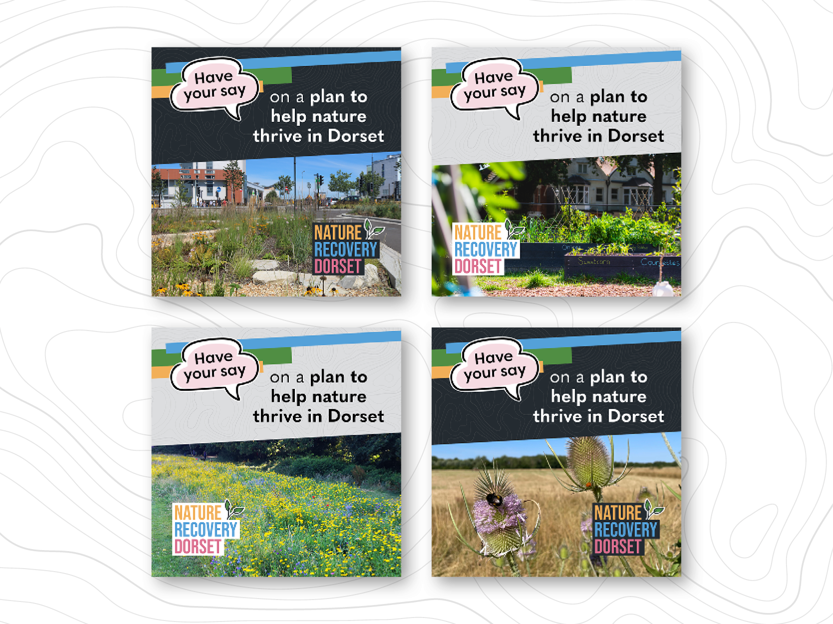 Image of 4 social media graphics all with the message 'Have your say on a plan to help nature thrive in Dorset'