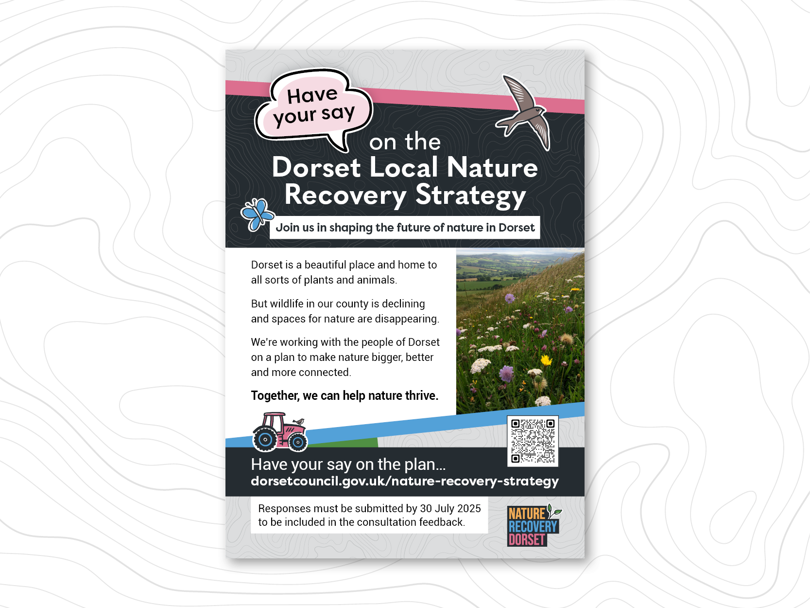 Image of a poster for the Nature Recovery Strategy against a grey background