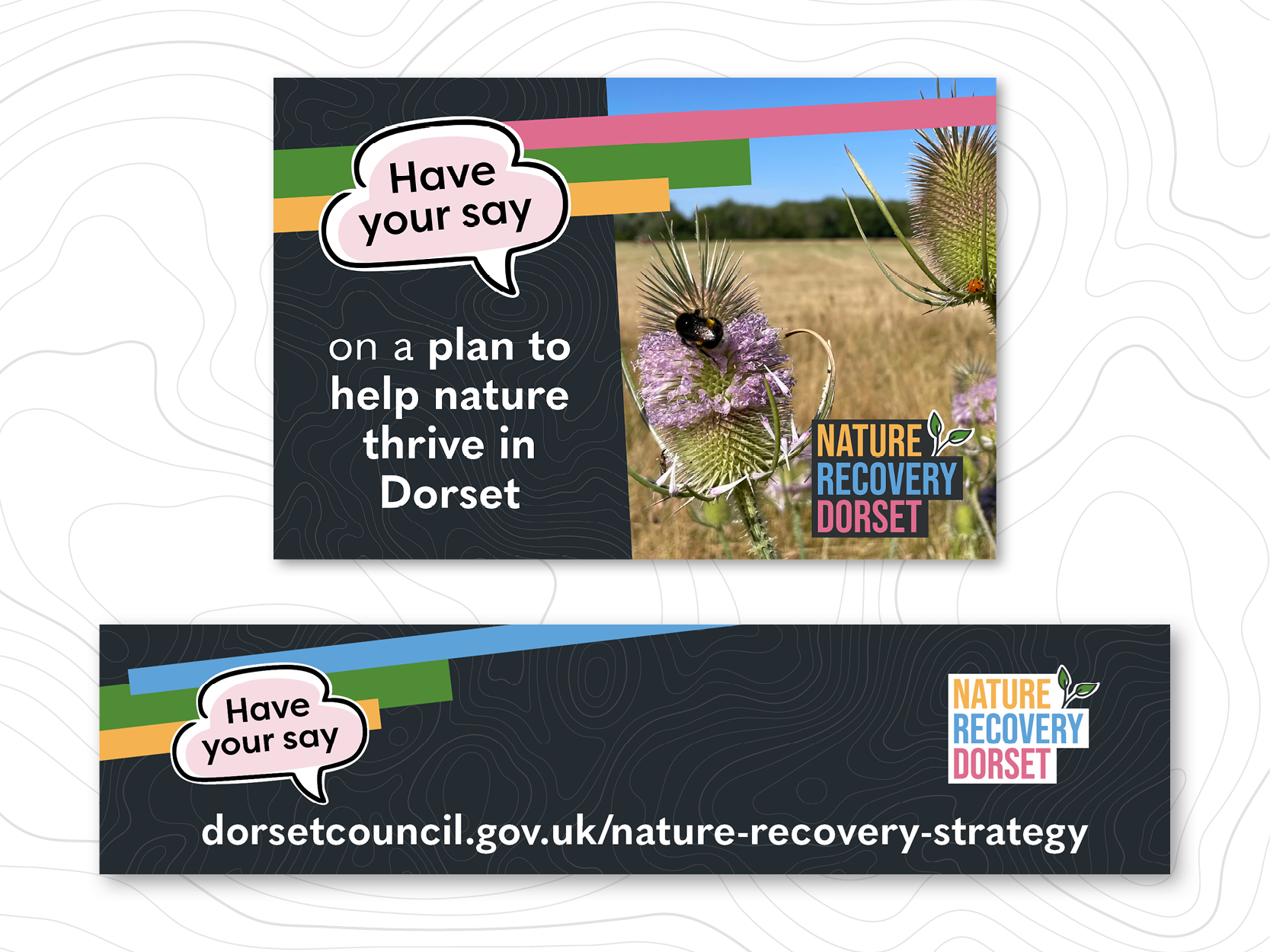 Image of an e-newsletter banner and a graphic of 'have your say on a plan to help nature thrive in Dorset'