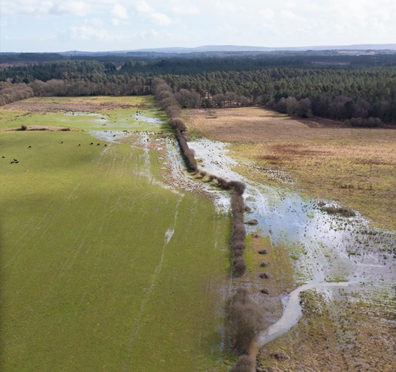 An overhead view of fields and forest, with water flowing through it.