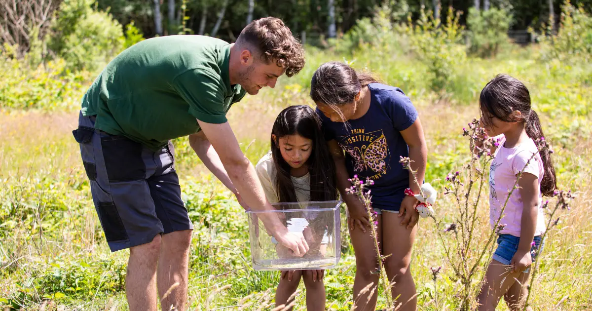 Three children looking at creatures within a plastic tub with a member of staff