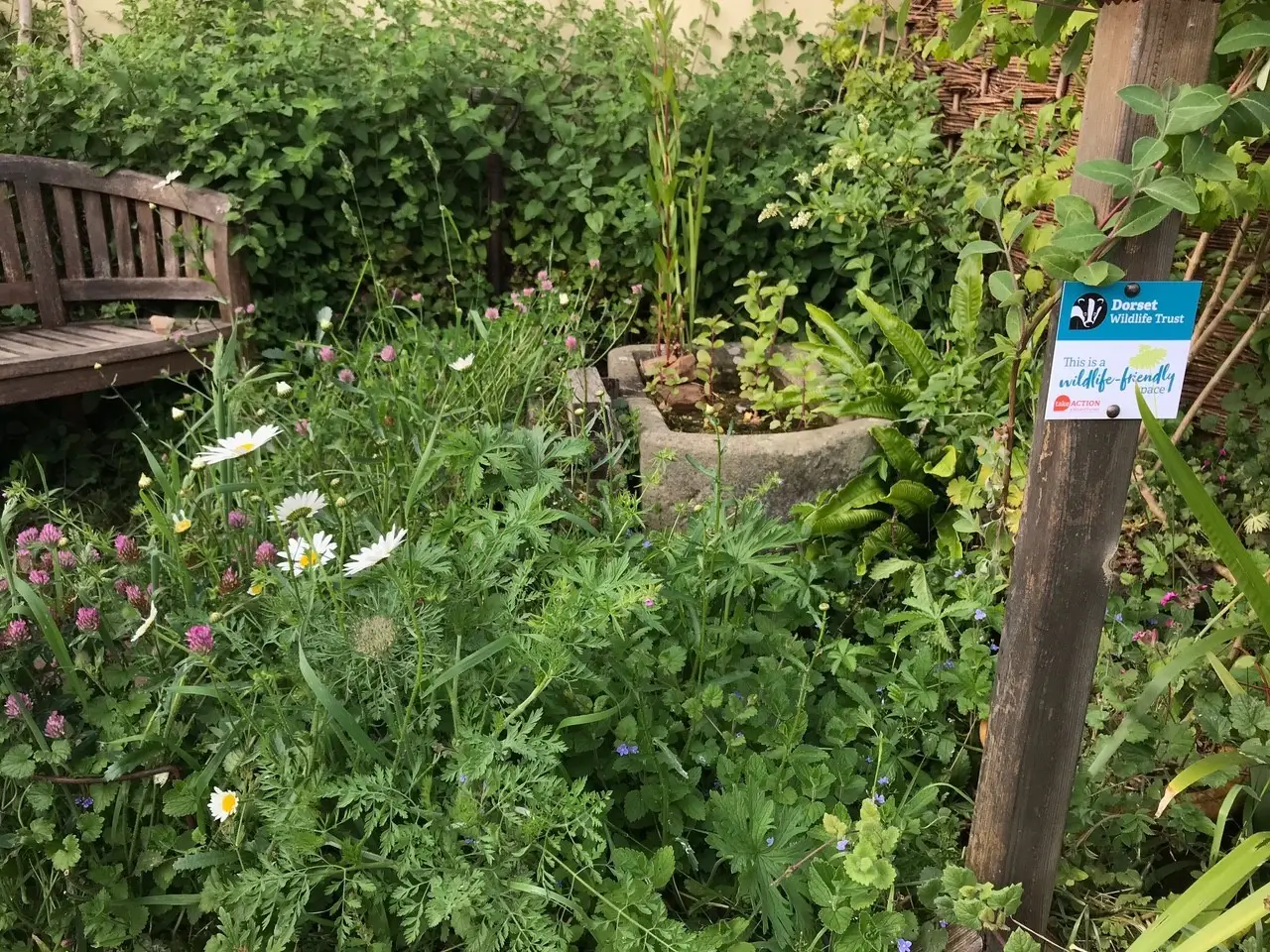 A garden space with a bench and a sign saying 'wildlife friendly garden'