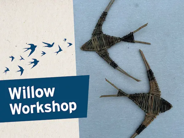 Willow workshop poster with two swallows made out of willow