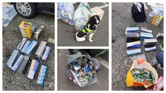 Illegal tobacco and vaping products seized during operation, with sniffer dog