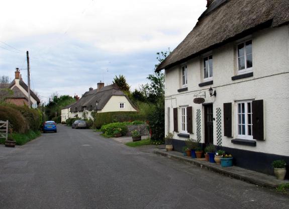 Thatched cottages in Bere Regis