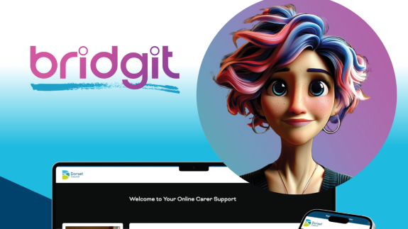 This is an image taken from the Bridgit platform