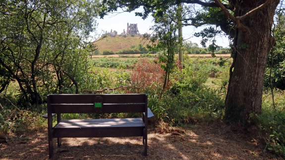 This shows a bench in the foreground with Corfe Castle in the distance which is part of the new Clay Trail route