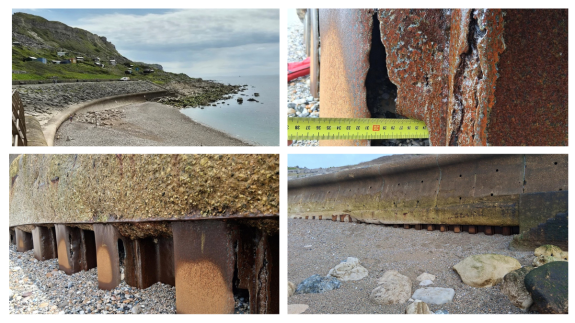 These are images of work that needs to be carried out at Chesil Beach